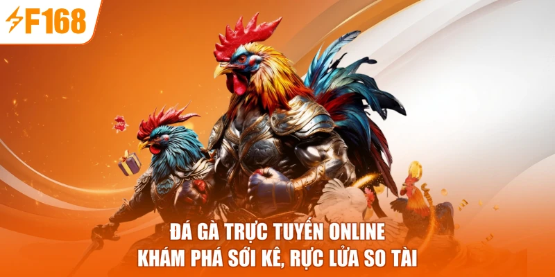 Đá Gà Trực Tuyến Online - Khám Phá Sới Kê, Rực Lửa So Tài