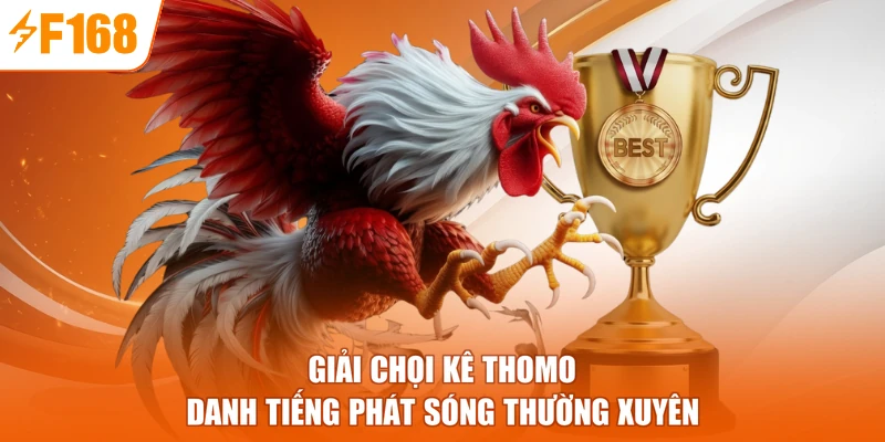 Giải chọi kê Thomo danh tiếng phát sóng thường xuyên