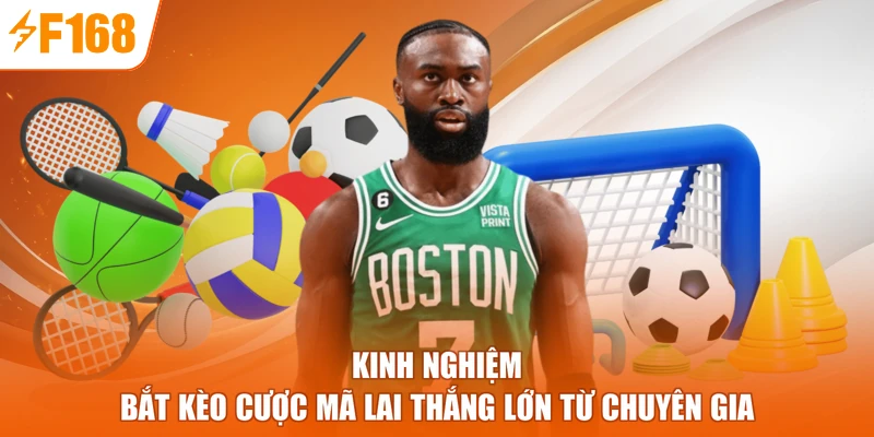 Kinh nghiệm bắt kèo cược Mã lai thắng lớn từ chuyên gia